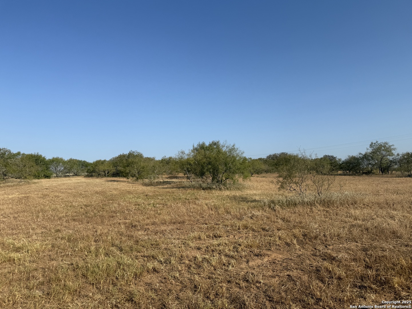 Tbd Fm 1681-tract 3 Stockdale TX 78160