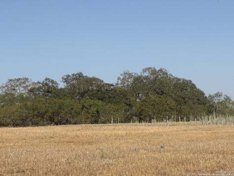 Tbd Fm 1681-tract 3 Stockdale TX 78160