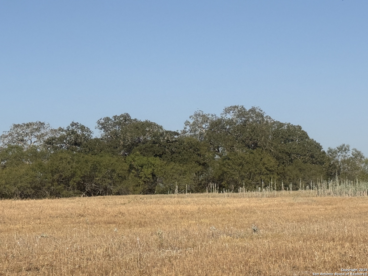 Tbd Fm 1681-tract 3 Stockdale TX 78160