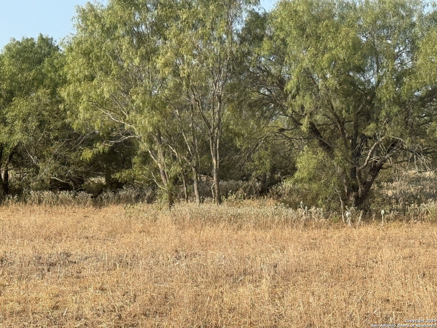 Tbd Fm 1681-tract 3 Stockdale TX 78160