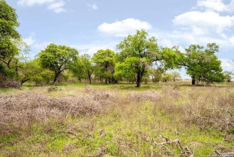 1805 County Road 317 La Vernia TX 78121