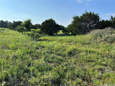 LOT 17 Pr 16020 Jonesboro TX 76538