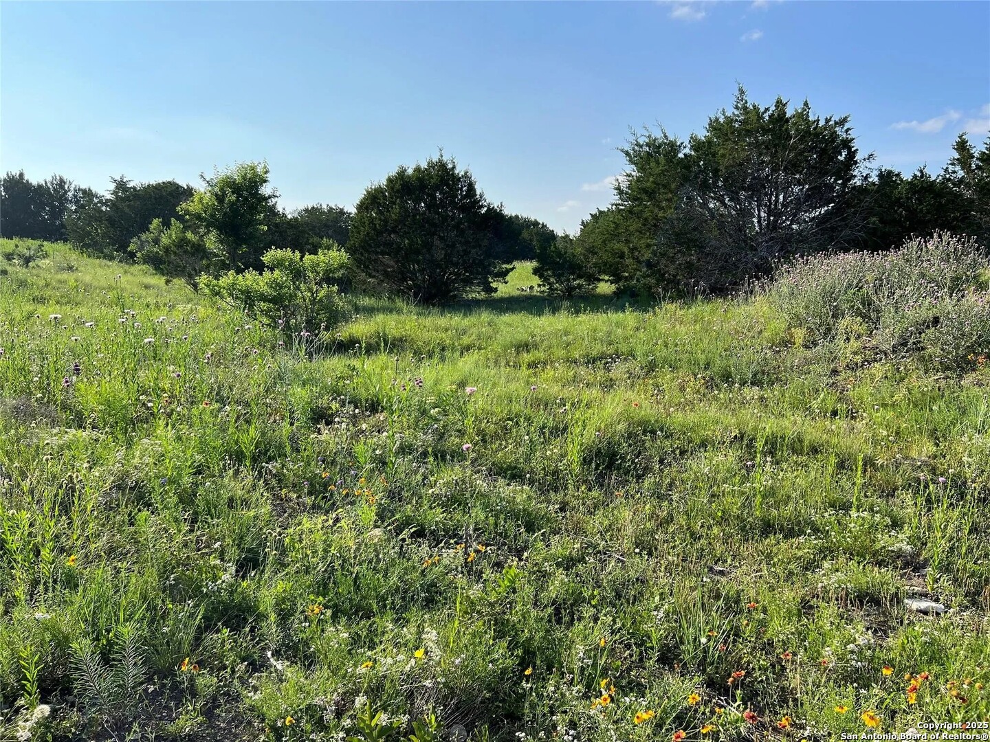Lot 17 Pr 16020 Jonesboro TX 76538