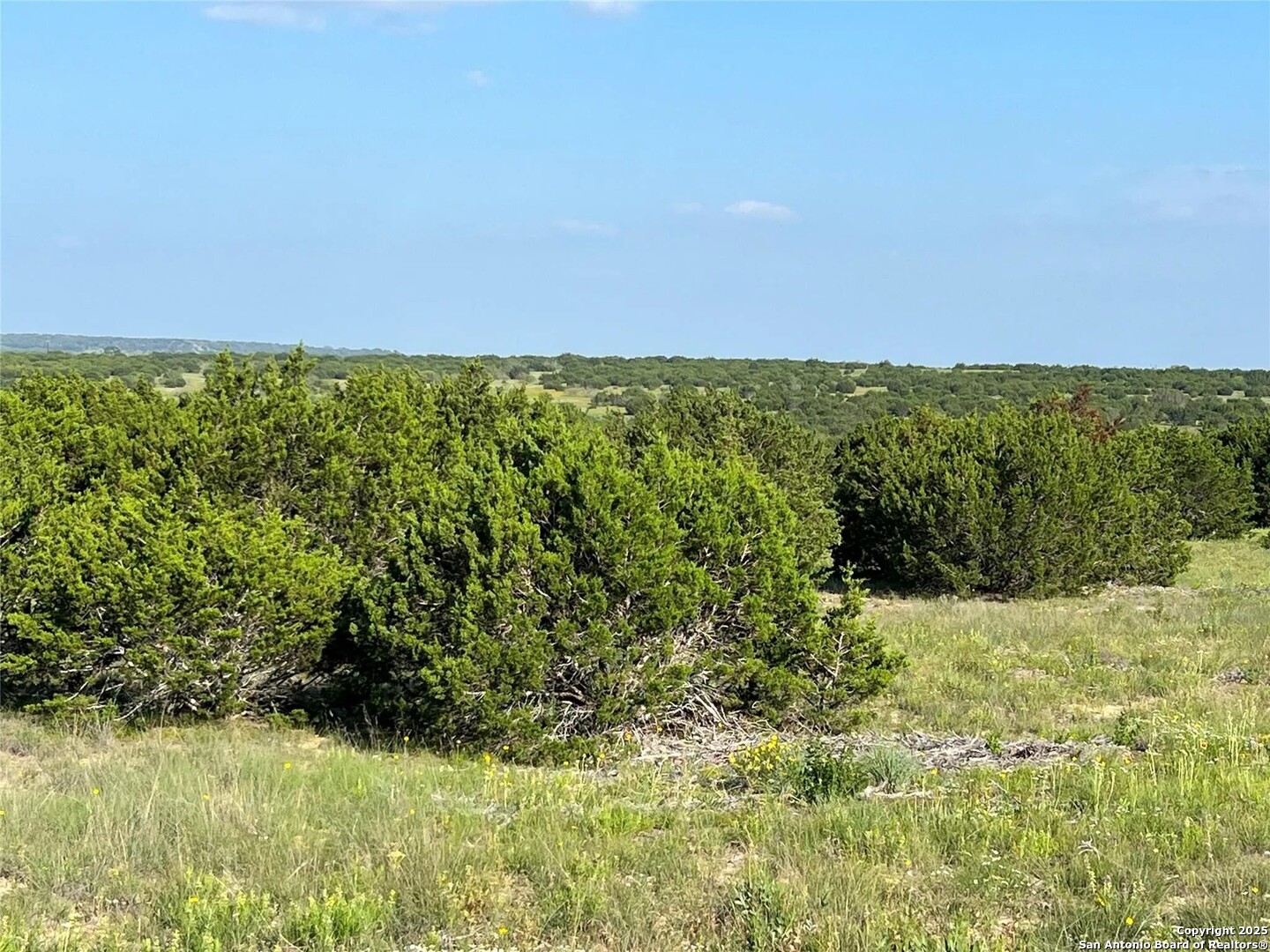 Lot 17 Pr 16020 Jonesboro TX 76538