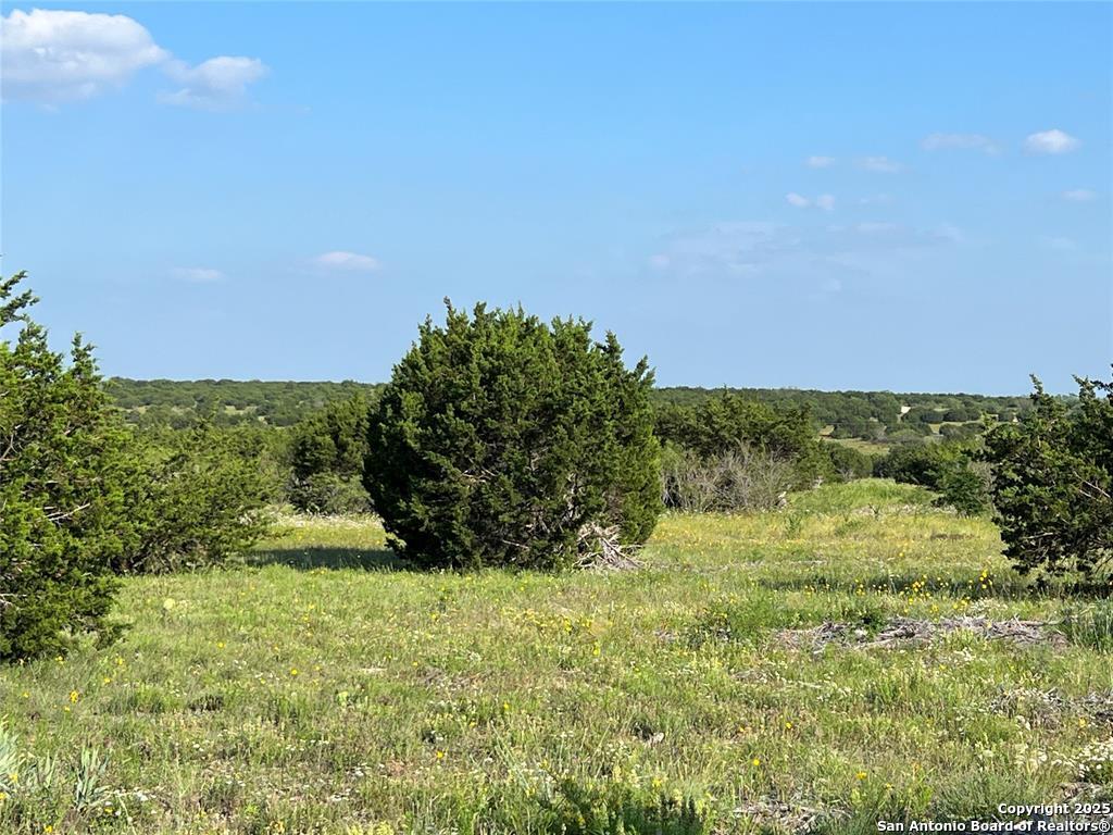 Lot 17 Pr 16020 Jonesboro TX 76538