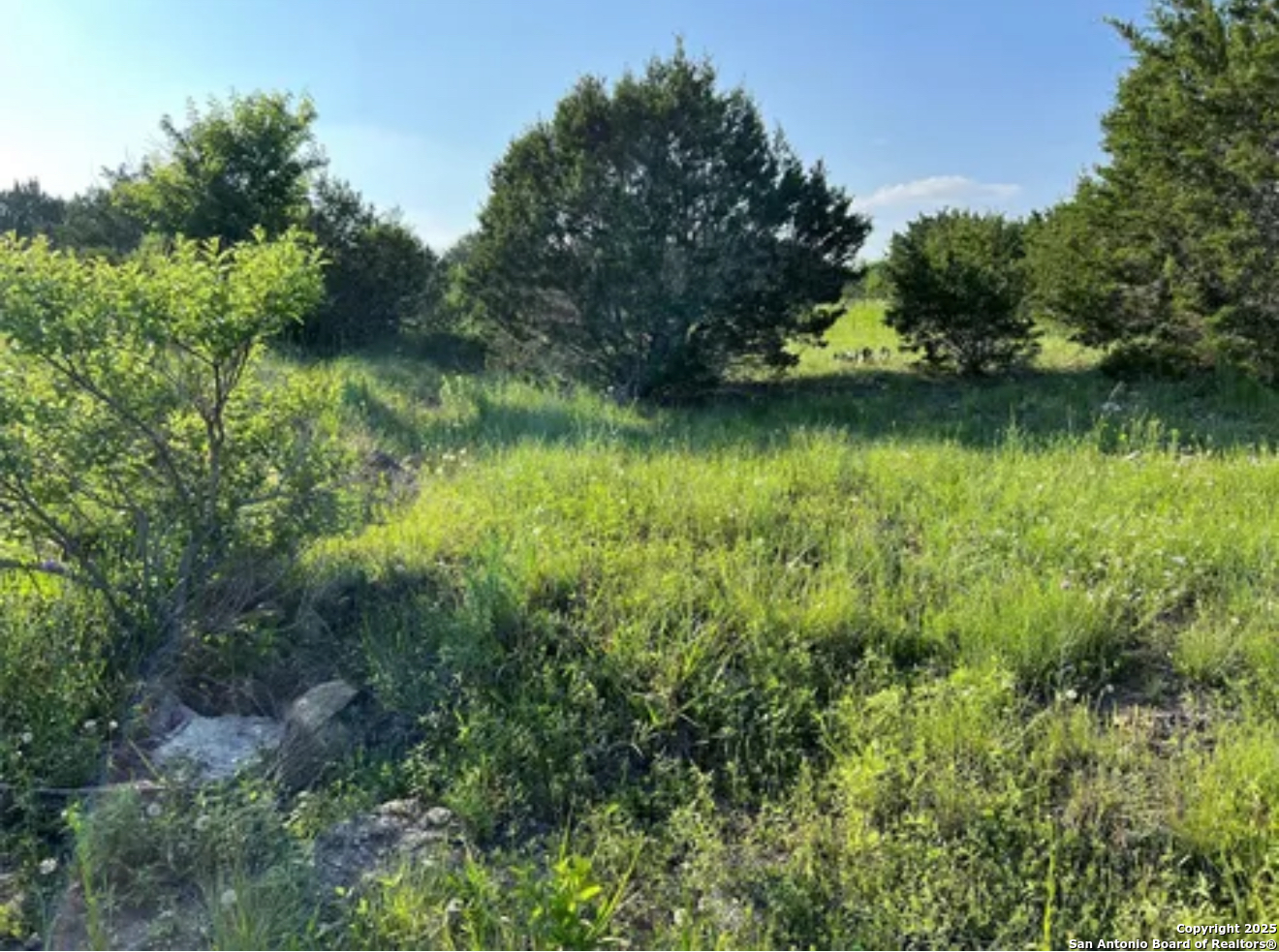 Lot 17 Pr 16020 Jonesboro TX 76538