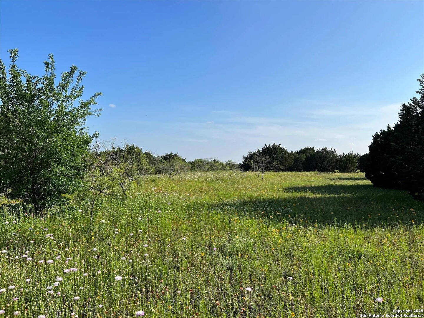Lot 17 Pr 16020 Jonesboro TX 76538