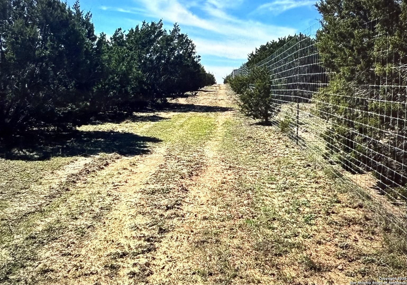 Lot 17 Pr 16020 Jonesboro TX 76538