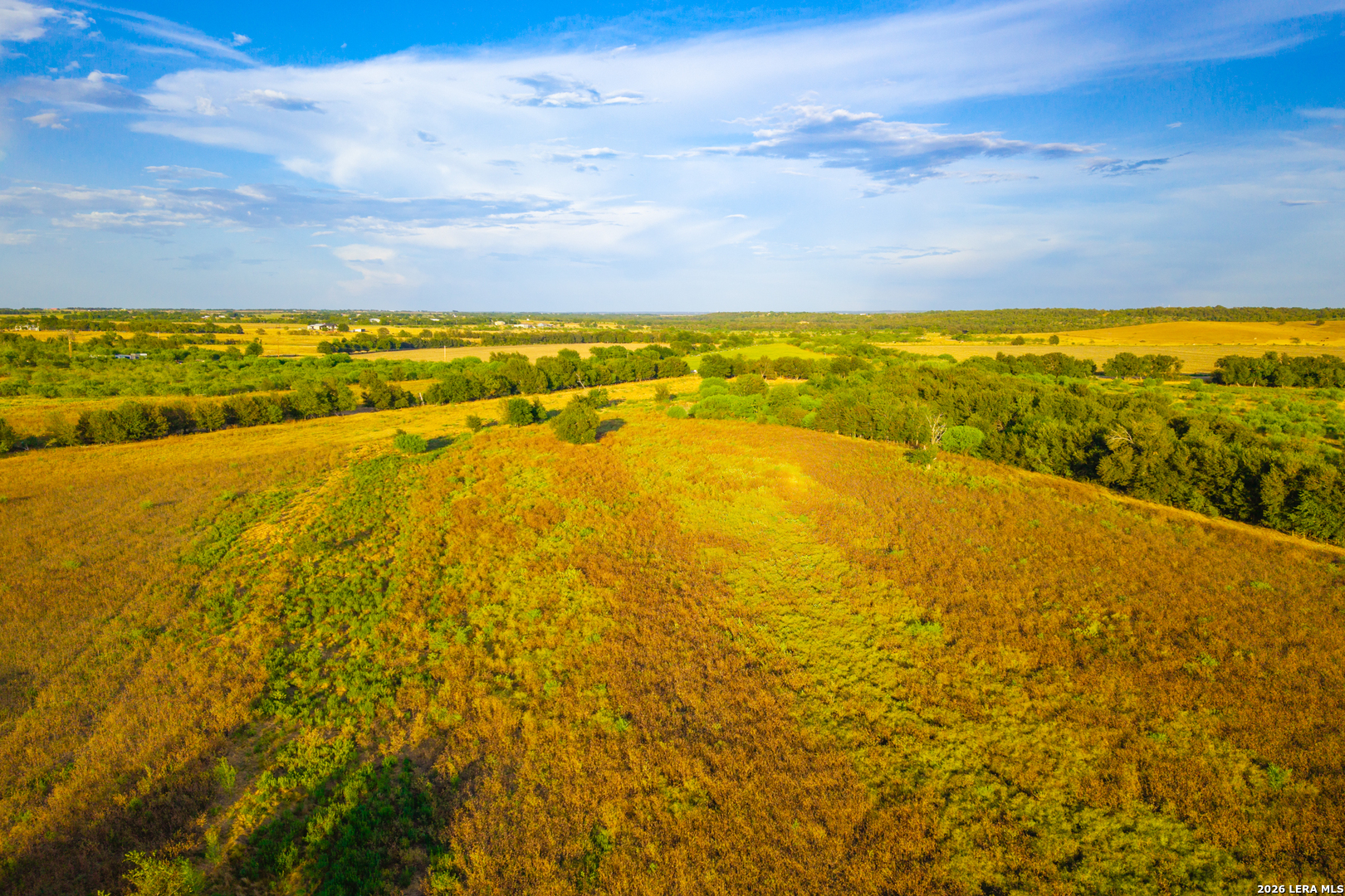 Tract 2 75 Acre Fm 1063 Taylor TX 76574
