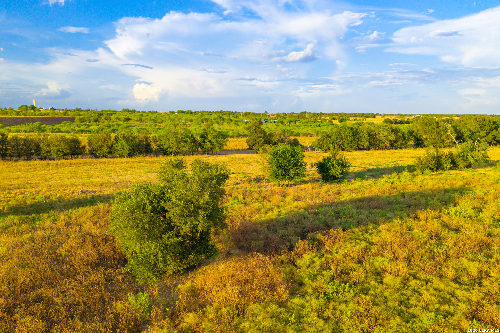 Tract 2 75 Acre Fm 1063 Taylor TX 76574