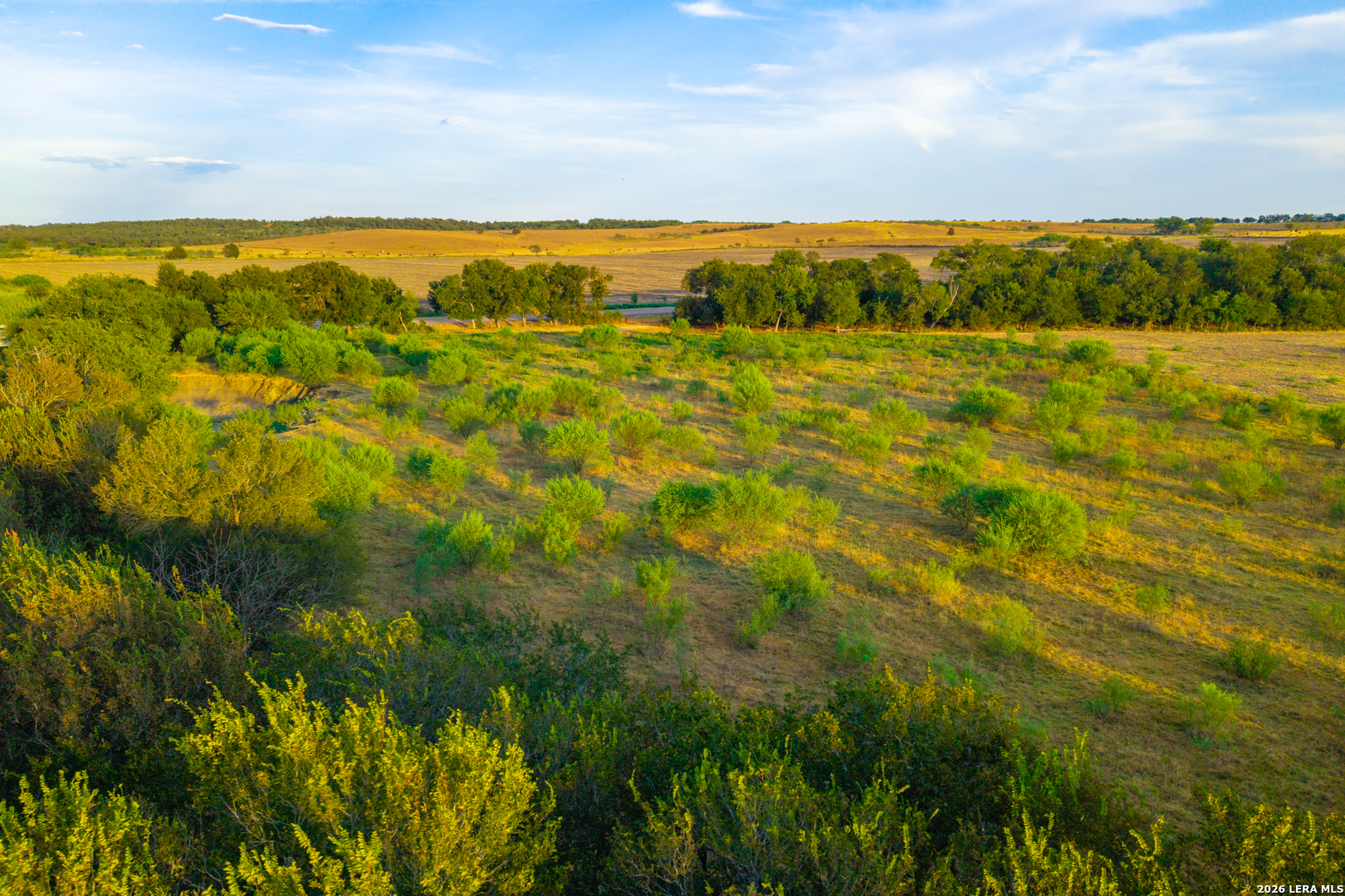 Tract 2 75 Acre Fm 1063 Taylor TX 76574