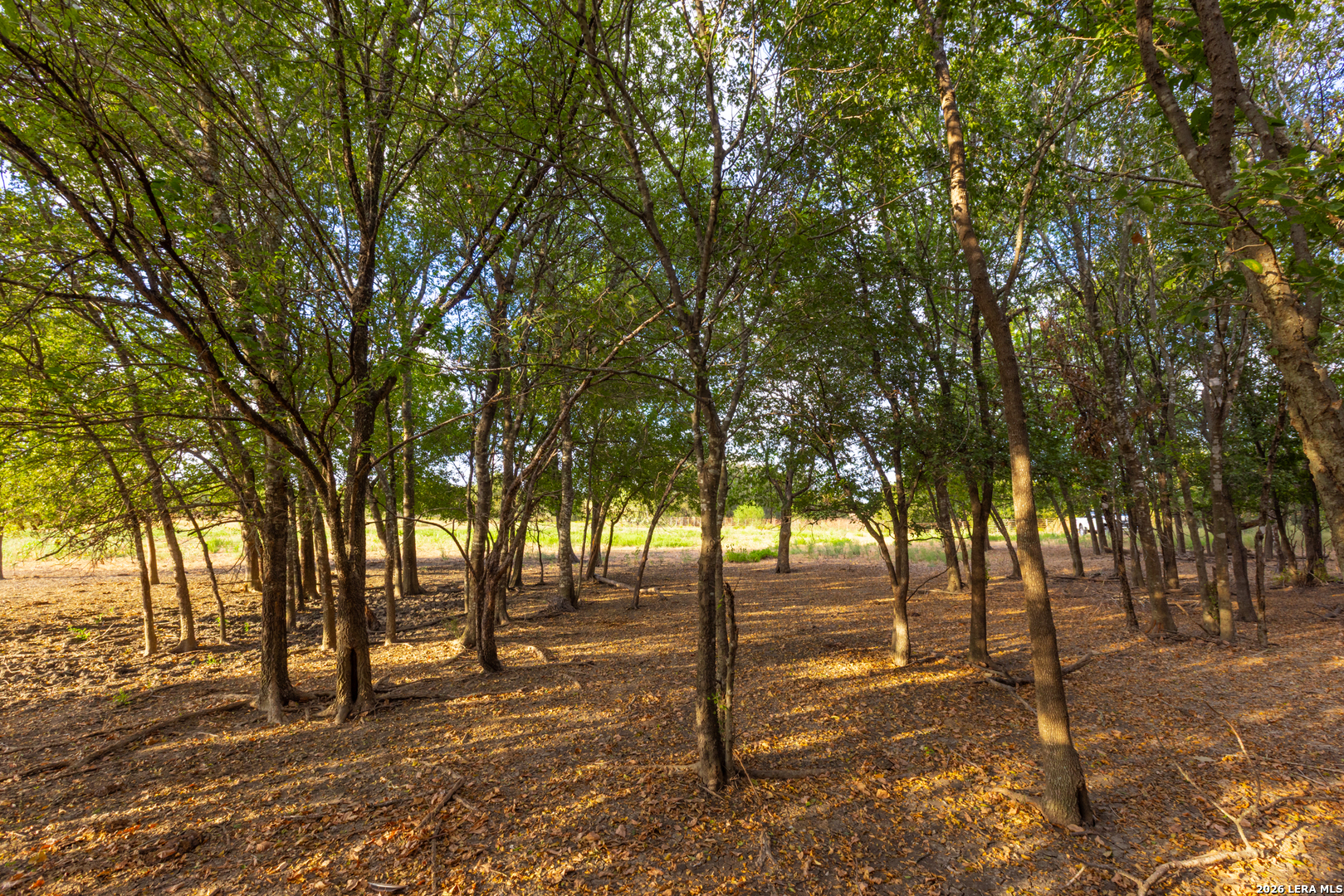 Tract 2 75 Acre Fm 1063 Taylor TX 76574