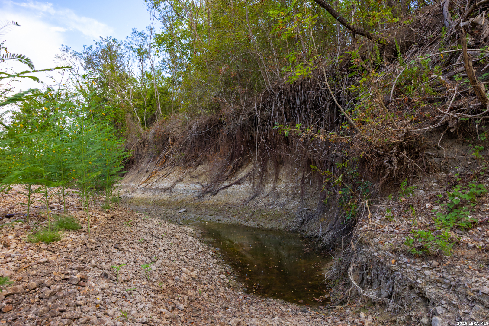 Tract 2 75 Acre Fm 1063 Taylor TX 76574
