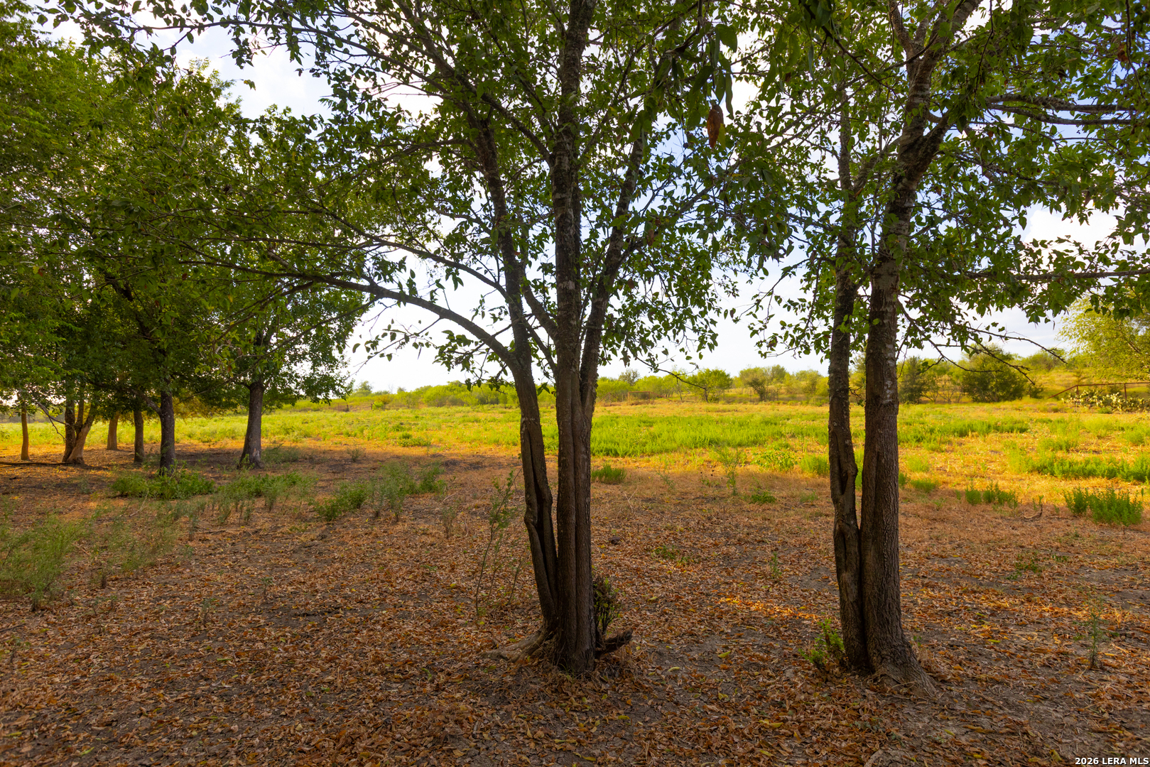 Tract 2 75 Acre Fm 1063 Taylor TX 76574