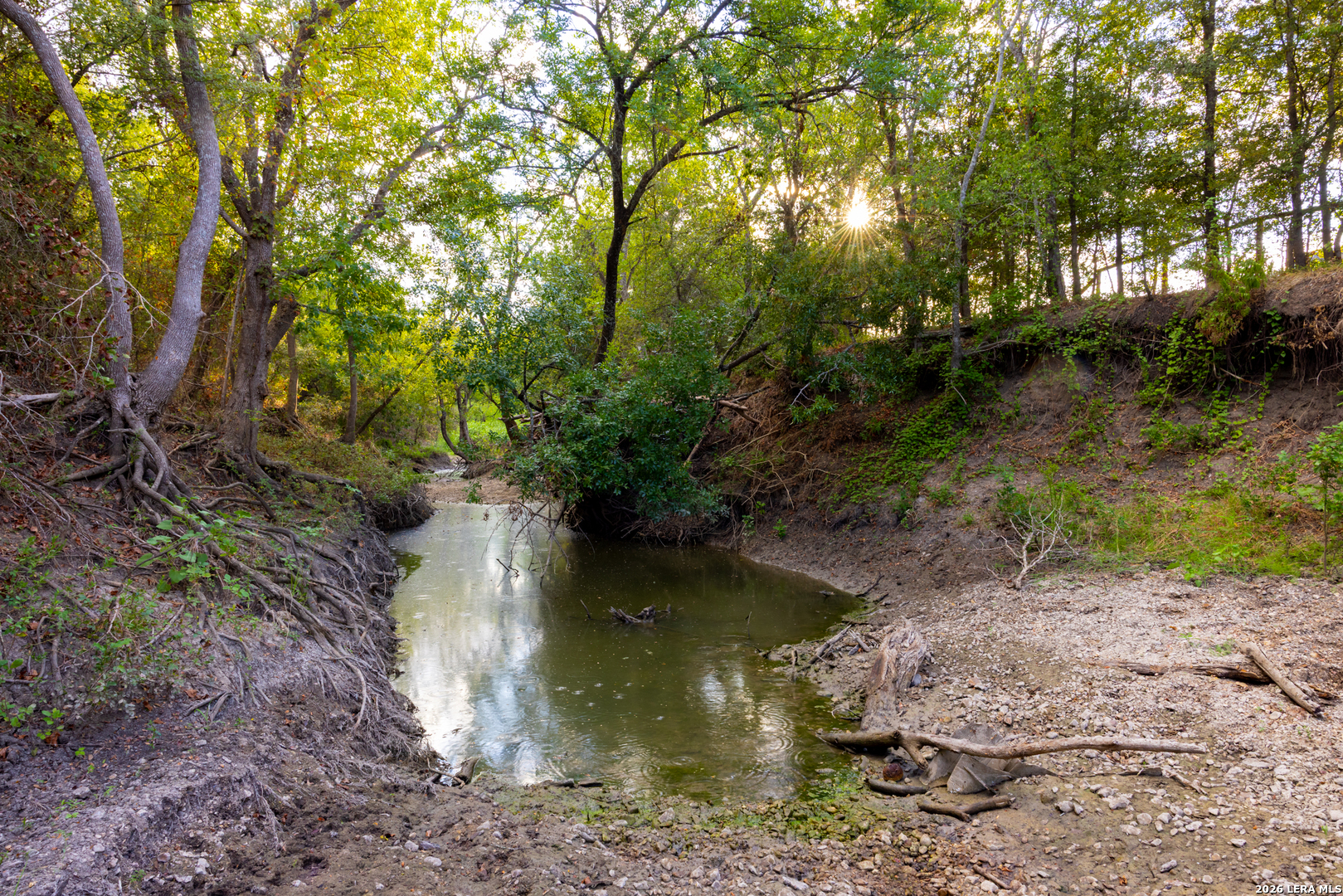Tract 2 75 Acre Fm 1063 Taylor TX 76574