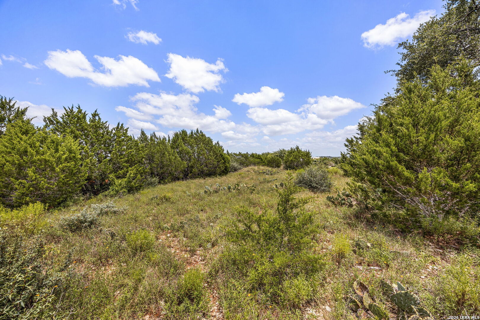 256 San Salvadore Canyon Lake TX 78133