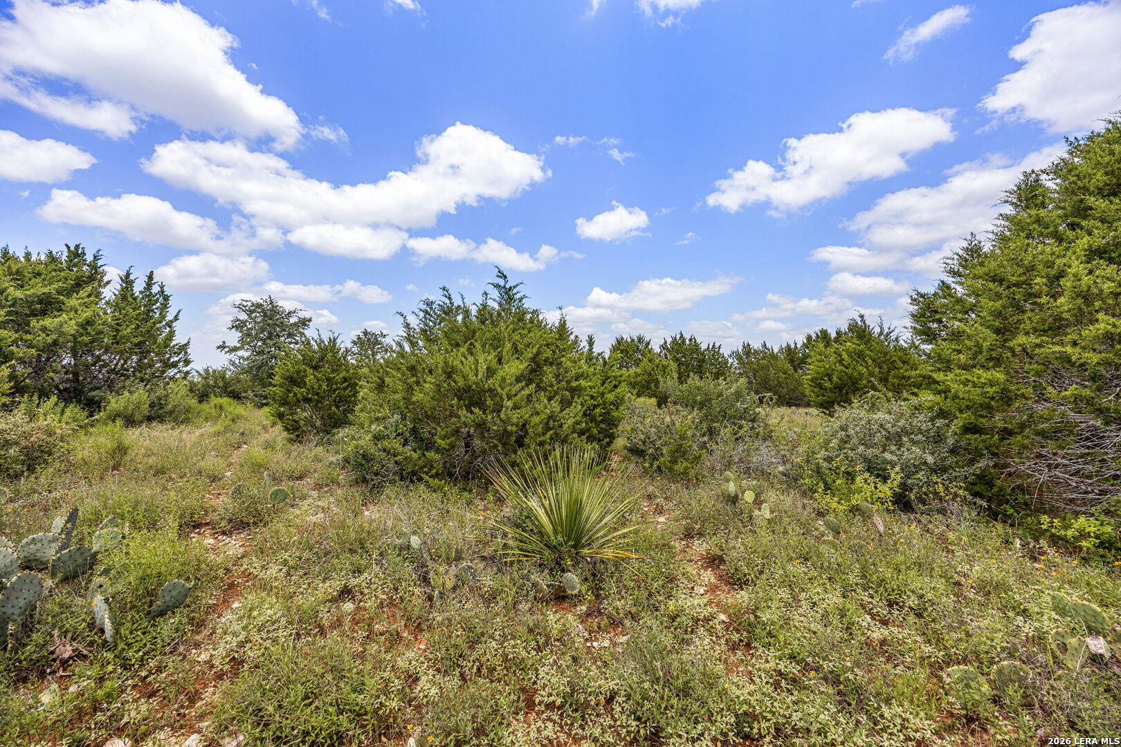 256 San Salvadore Canyon Lake TX 78133