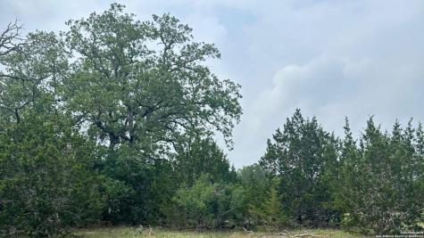 6989 State Highway 16 Bandera TX 78003