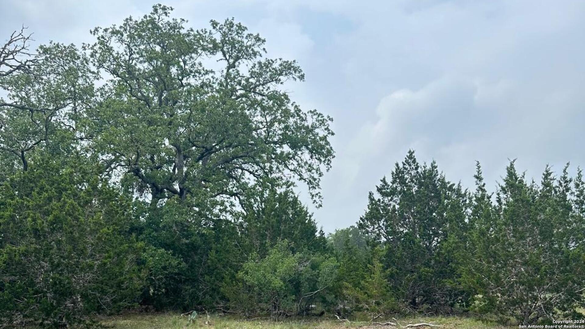 6989 State Highway 16 Bandera TX 78003
