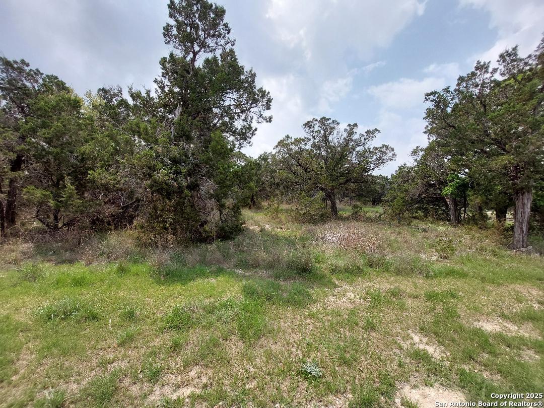 2170 Fuller Drive Canyon Lake TX 78133