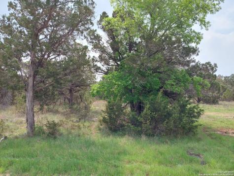 2170 Fuller Drive Canyon Lake TX 78133