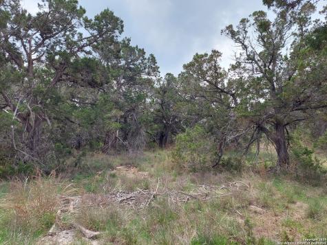 2170 Fuller Drive Canyon Lake TX 78133