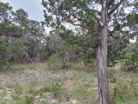 2170 Fuller Drive Canyon Lake TX 78133