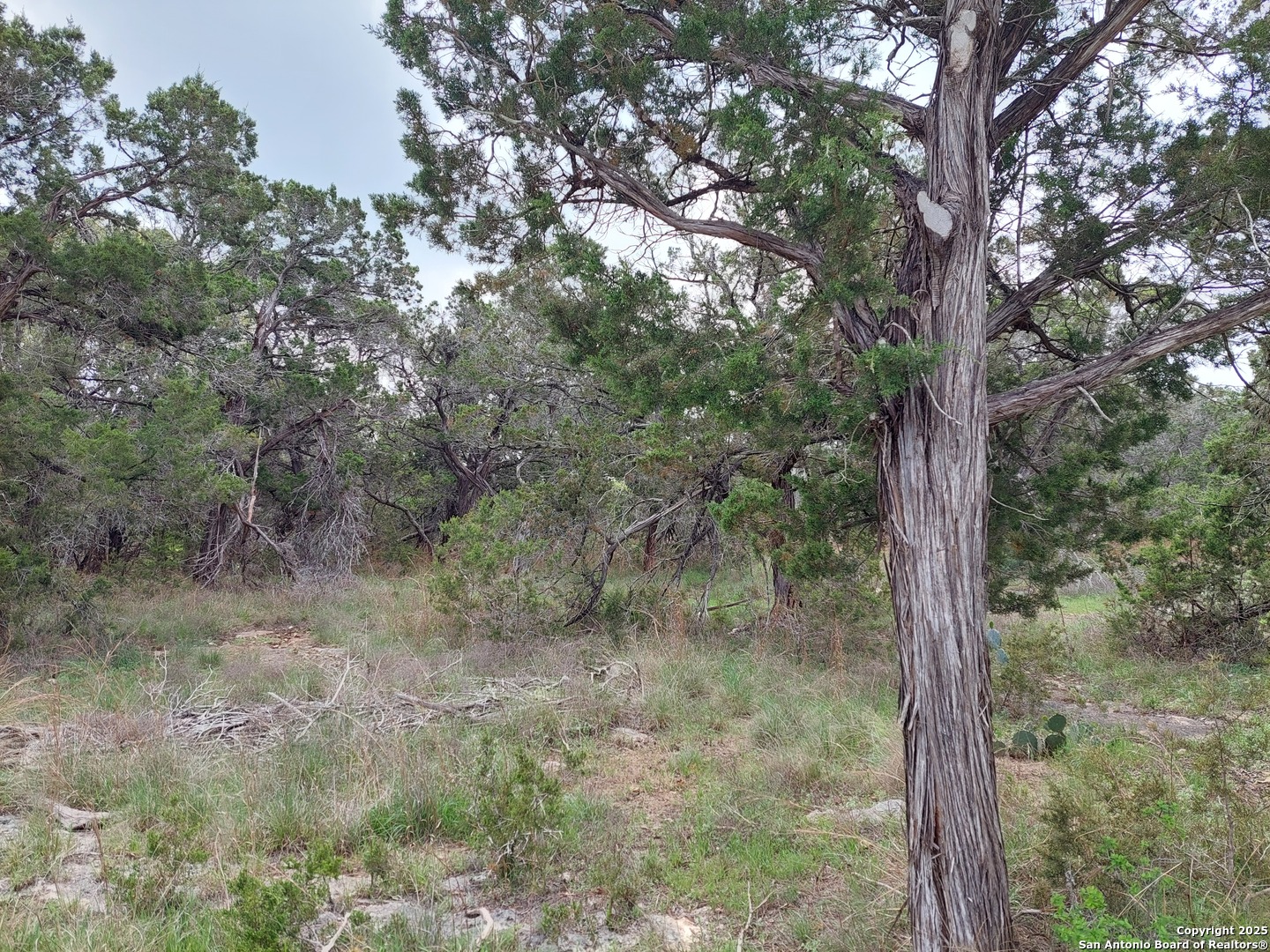 2170 Fuller Drive Canyon Lake TX 78133