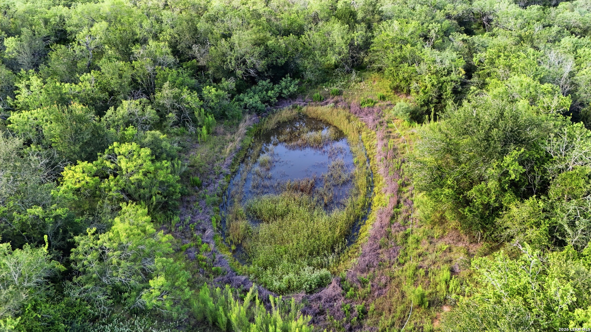 385 Marrou Road (Lot 1) Seguin TX 78155