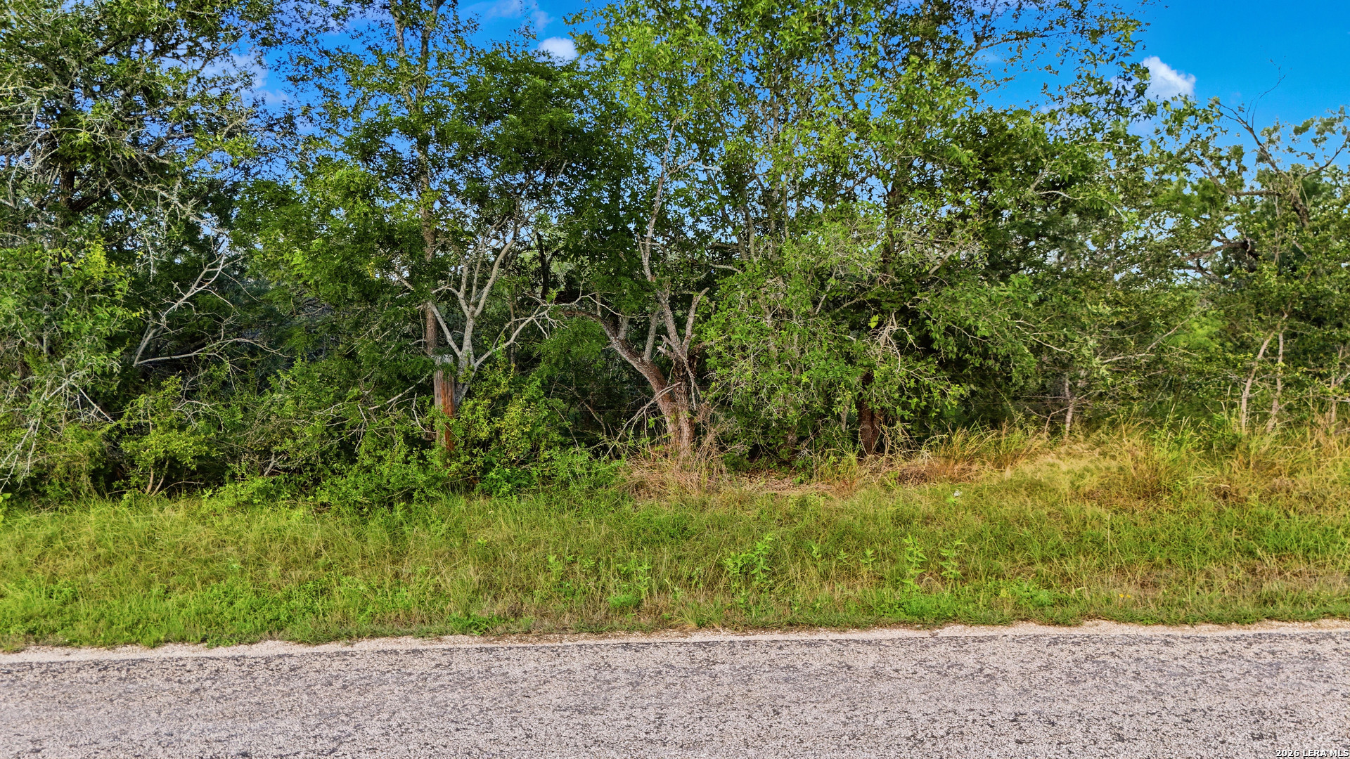 385 Marrou Road (Lot 1) Seguin TX 78155