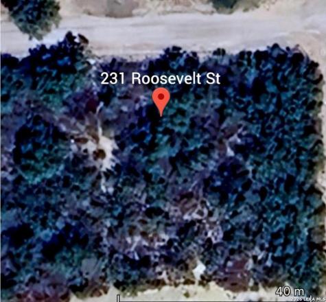 231 Roosevelt Street El Indio TX 78860