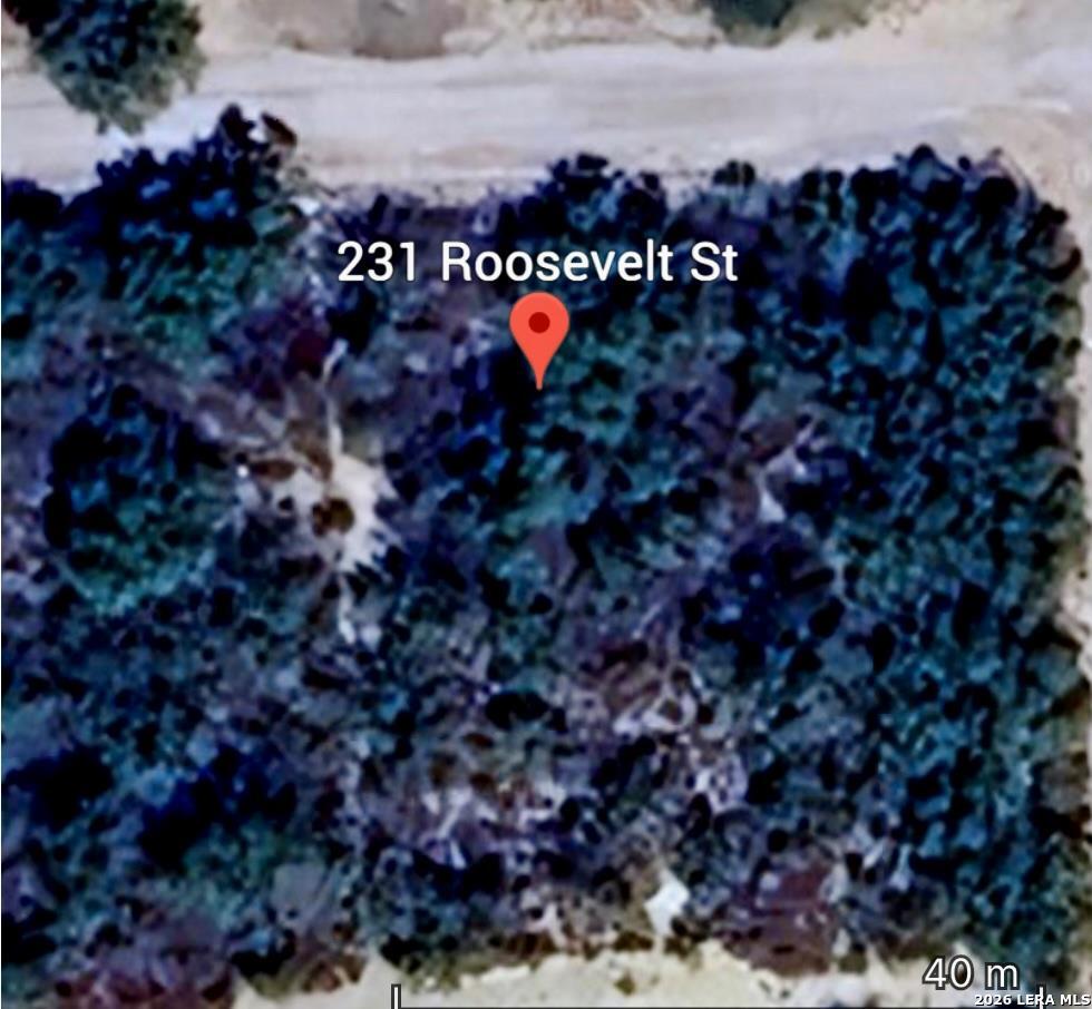 231 Roosevelt Street El Indio TX 78860