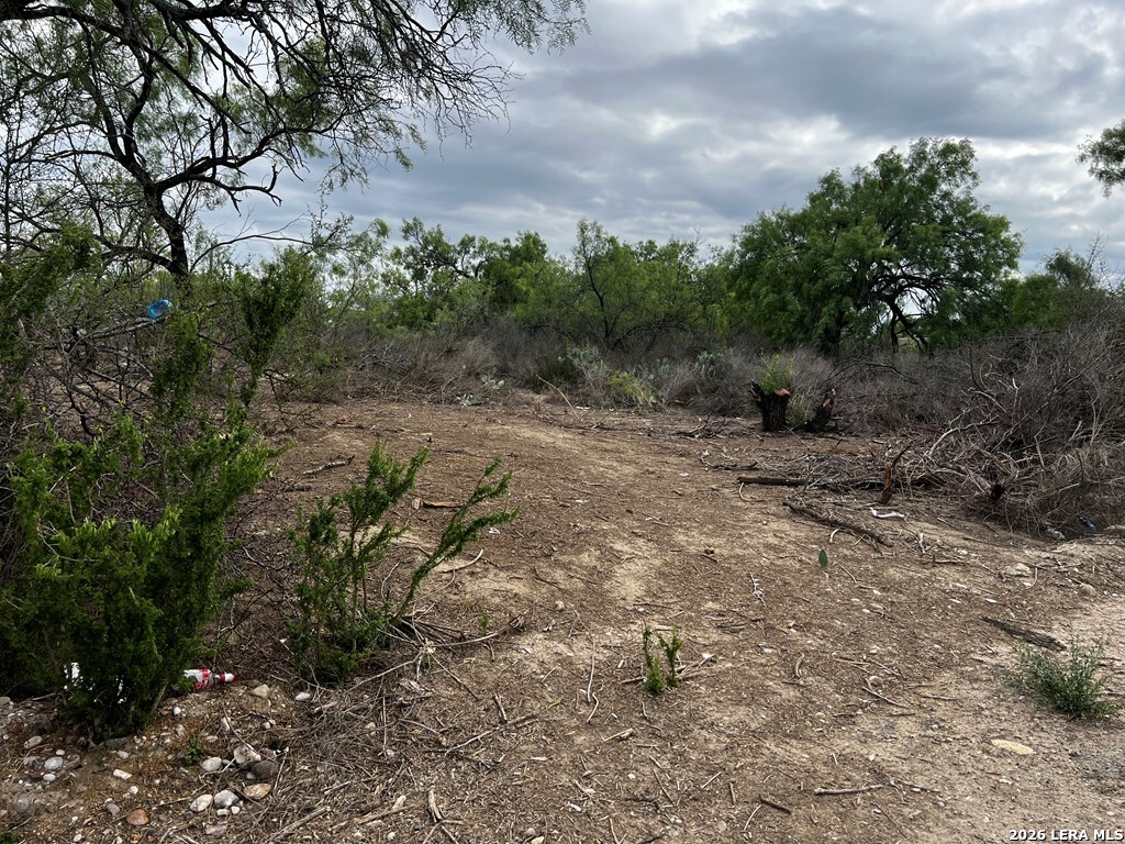 231 Roosevelt Street El Indio TX 78860