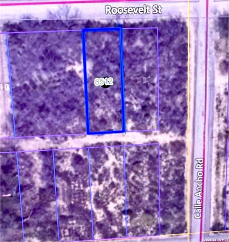 231 Roosevelt Street El Indio TX 78860