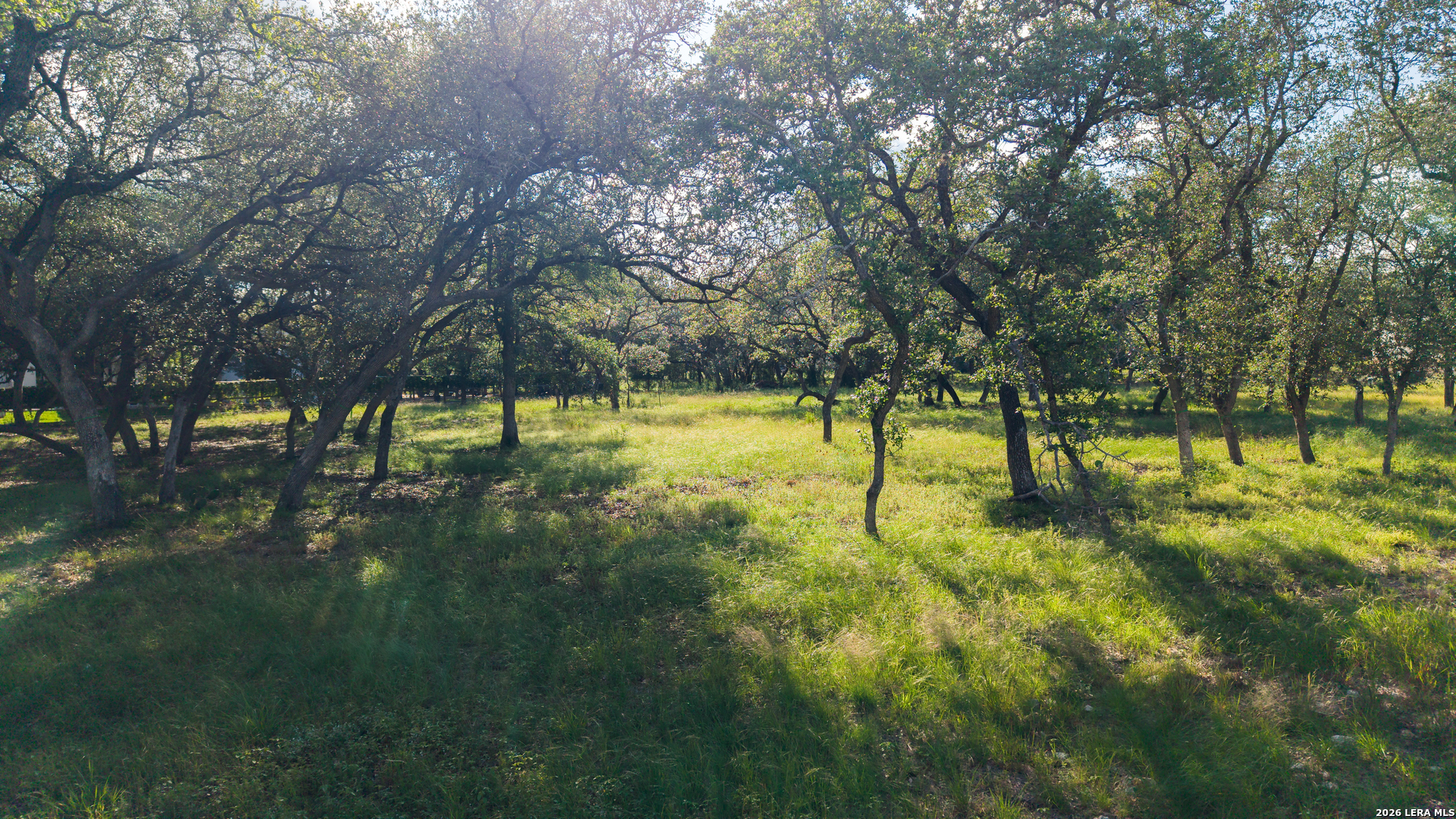 3006 Wellesley Key San Antonio TX 78231