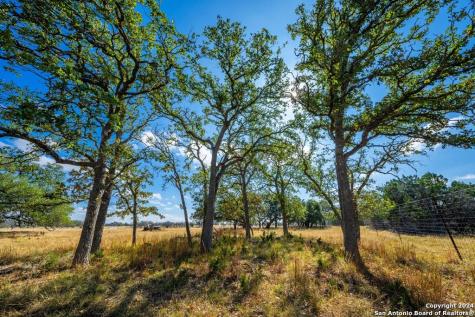 Lot 12 Turn Out Lane Harper TX 78631