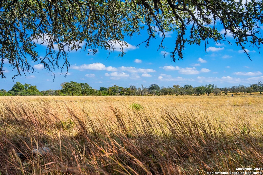 Lot 12 Turn Out Lane Harper TX 78631