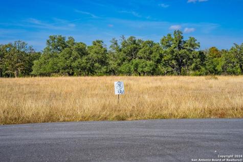 Lot 12 Turn Out Lane Harper TX 78631