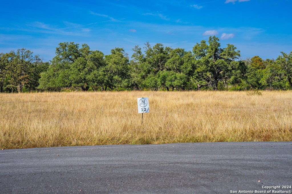 Lot 12 Turn Out Lane Harper TX 78631