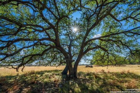 Lot 12 Turn Out Lane Harper TX 78631