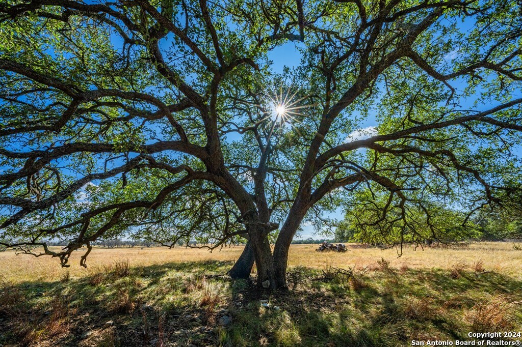 Lot 12 Turn Out Lane Harper TX 78631
