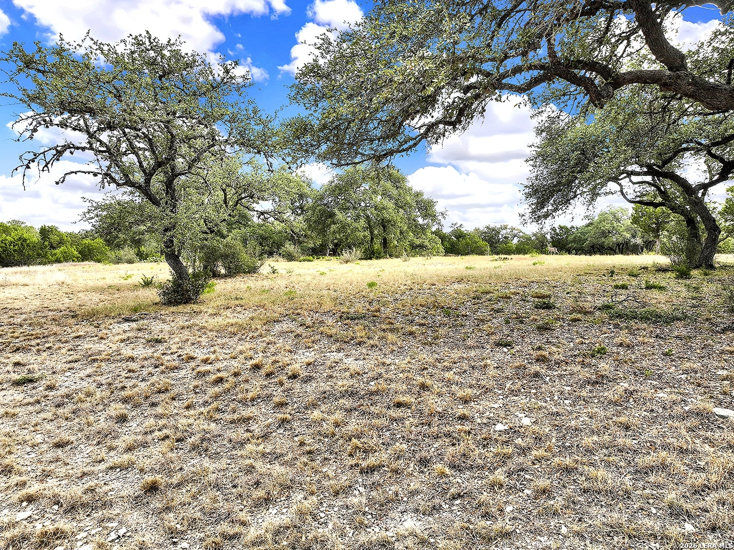 2475 George Pass Canyon Lake TX 78133