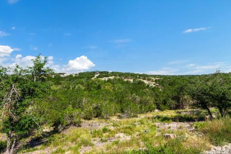 472 Stallion Estates Drive Spring Branch TX 78070