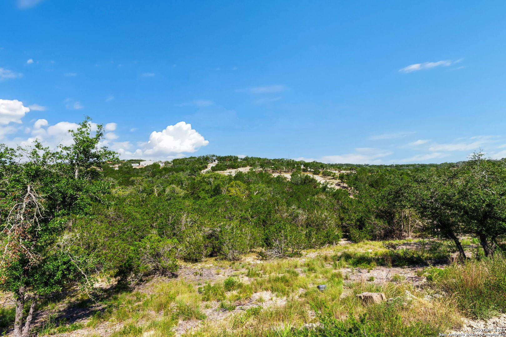 472 Stallion Estates Drive Spring Branch TX 78070