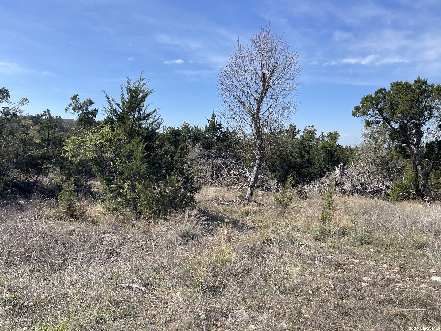 2219 Hiline Bulverde TX 78163