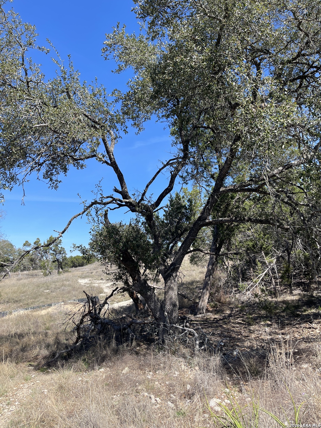 2219 Hiline Bulverde TX 78163