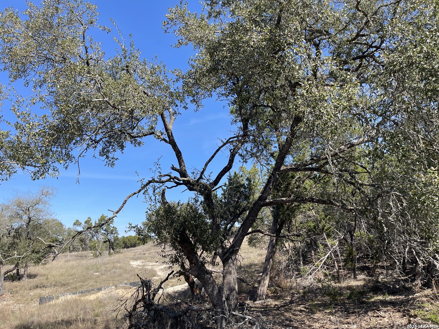 2219 Hiline Bulverde TX 78163