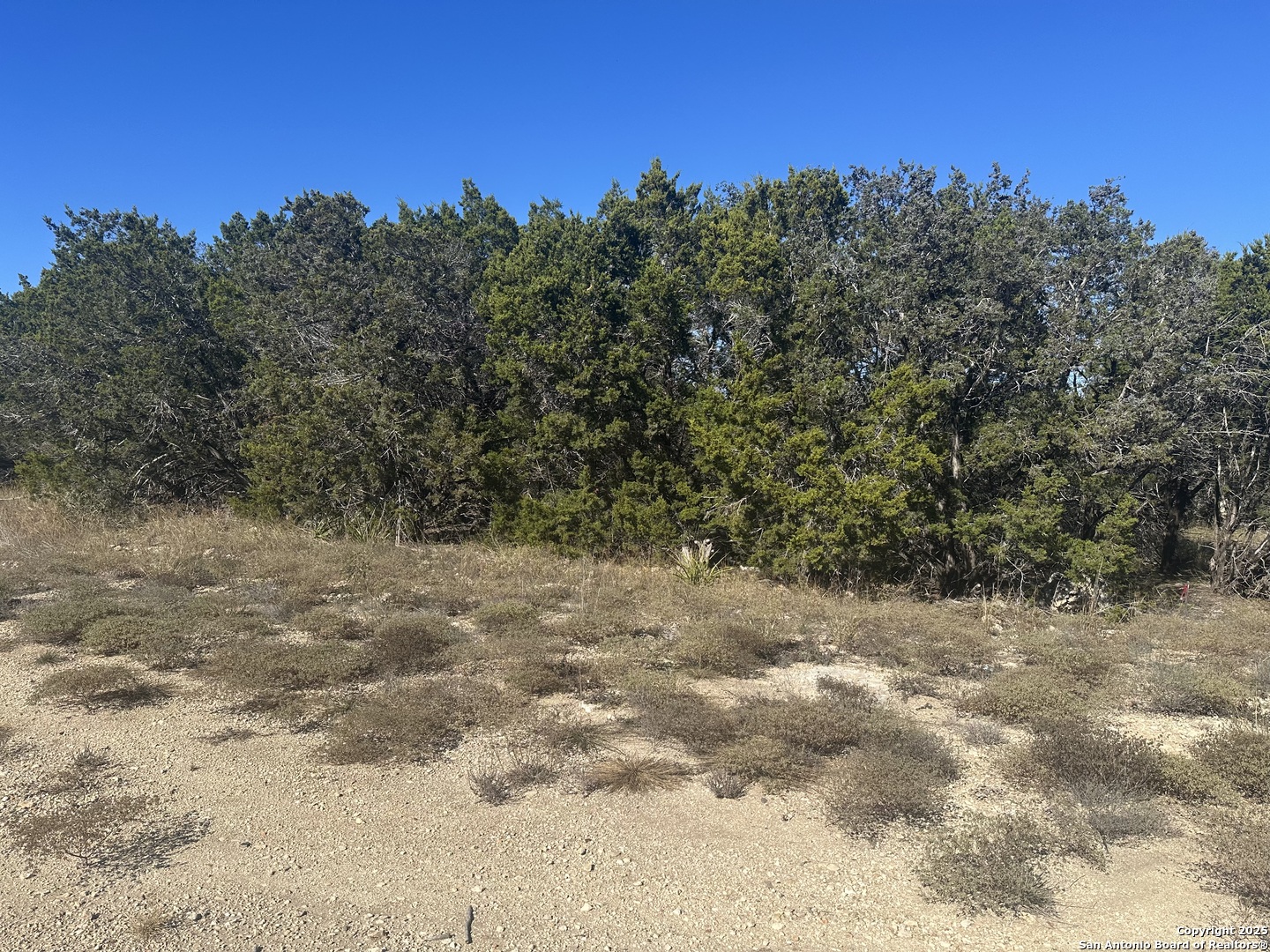 371 Serenity Pass Spring Branch TX 78070