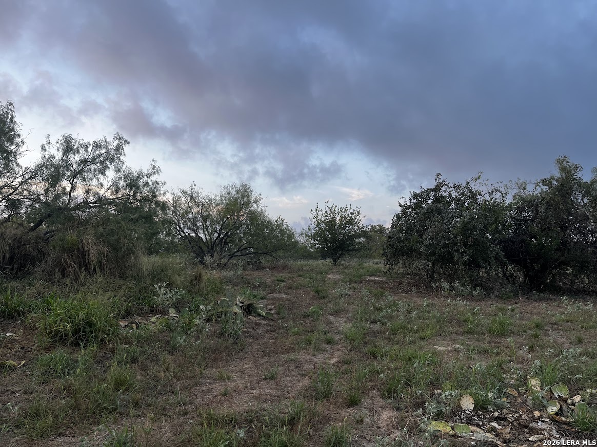 159 W Whitewing Drive Somerset TX 78069