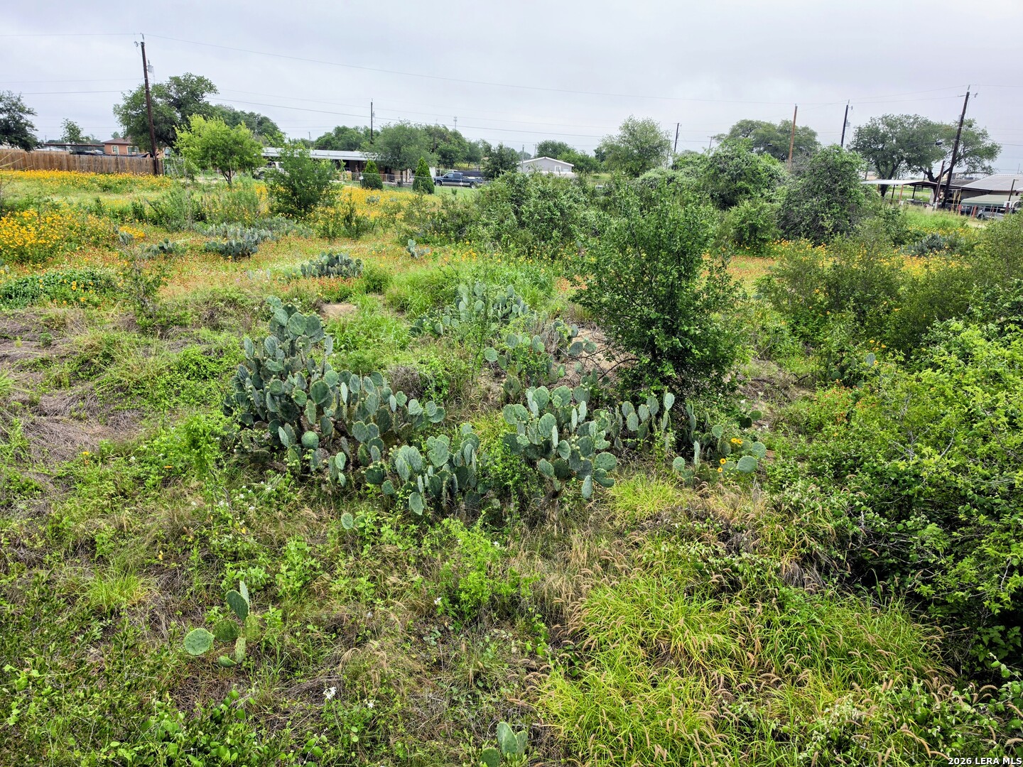 30 Wild Bee Drive Von Ormy TX 78073